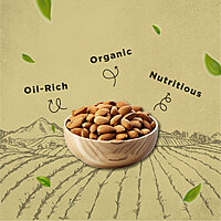 Organic Kashmiri Almonds