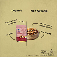 Organic Kashmiri Almonds