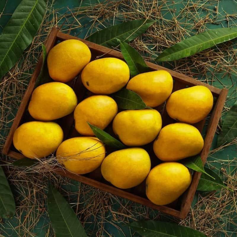 Alphonso Mango (Hapus Premium)