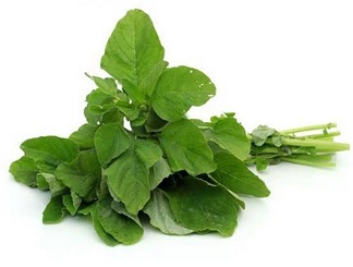 Amaranthus / Thota Kura