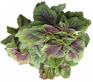 Red Amaranthus / Thota Kura (Red)