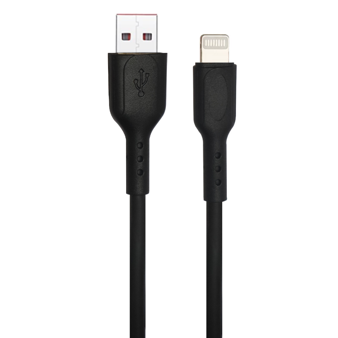 Champion USB to Lightning Braided Cable for Charging and Data Sync Compatible with iPhone 13, 12, 11, X, 8, 7, 6, 5, iPad Air, Pro, and Mini -2mtr (Black)