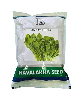 PaleBhaji (Green Sorrel) Ambat Chuka by Navalekha Seeds