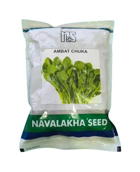 PaleBhaji (Green Sorrel) Ambat Chuka by Navalekha Seeds