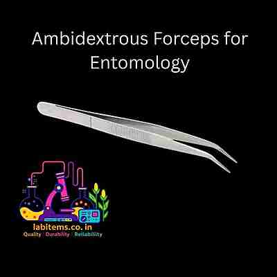 Ambidextrous Forceps for Entomology