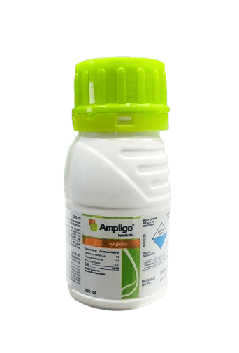 Ampligo by Syngenta