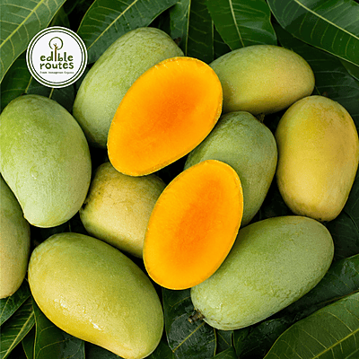 Amrapali Mango Amrapali Mango
