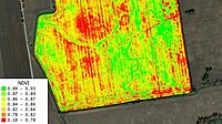 Satellite-Based Crop Monitoring & Field Health Mapping