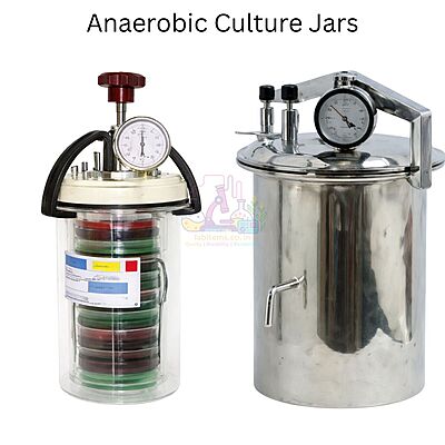 Anaerobic culture jars