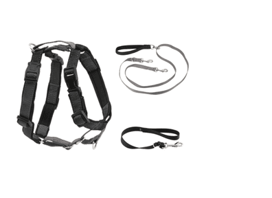 Animal Restraint Equipment (Harnesses)