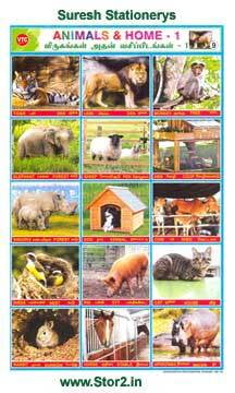 Animals & Homes - 1 - Educational Picture Chart No - 9