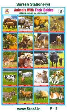 Animals & Babies - Educational Picture Chart No - 8