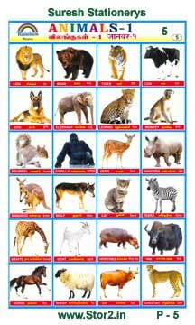 Animals - Educational Picture Chart No - 5