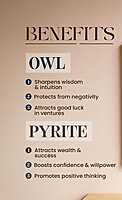 Owl — Pyrite Photo Frame