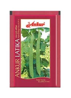 Ankur Ridgegourd Latika - 50gm