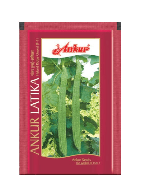 Ankur Ridgegourd Latika - 50gm