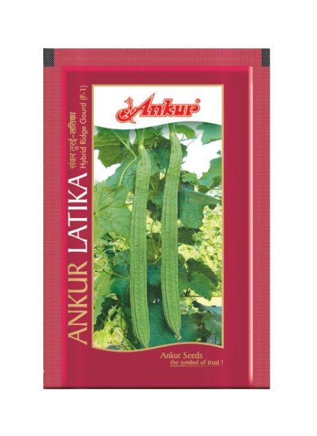 Ankur Ridgegourd Latika - 50gm