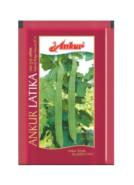 Ankur Ridgegourd Latika - 50gm