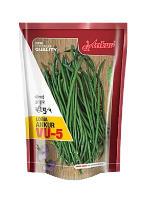 Ankur Lobia Cow Pea Seeds VU-5-100GM