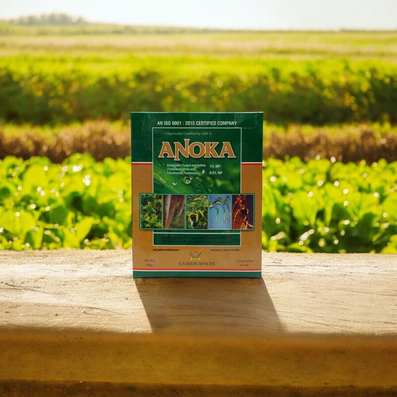 Anoka (Combination of Trichoderma Viride and Pseudomonas)