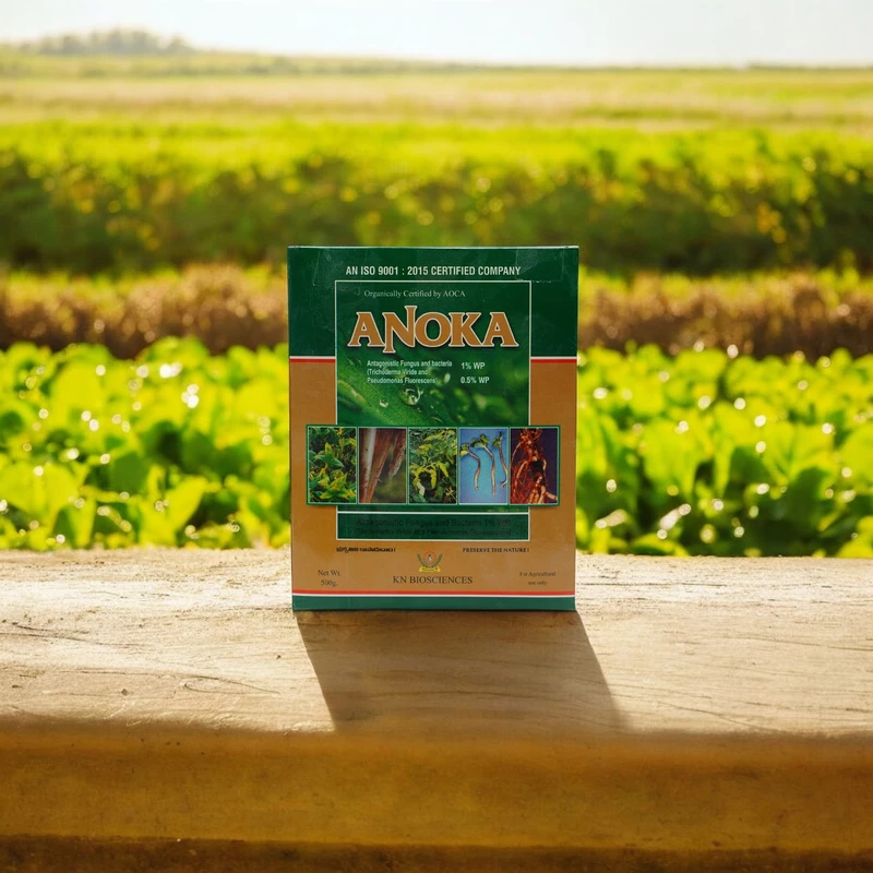 Anoka (Combination of Trichoderma Viride and Pseudomonas)