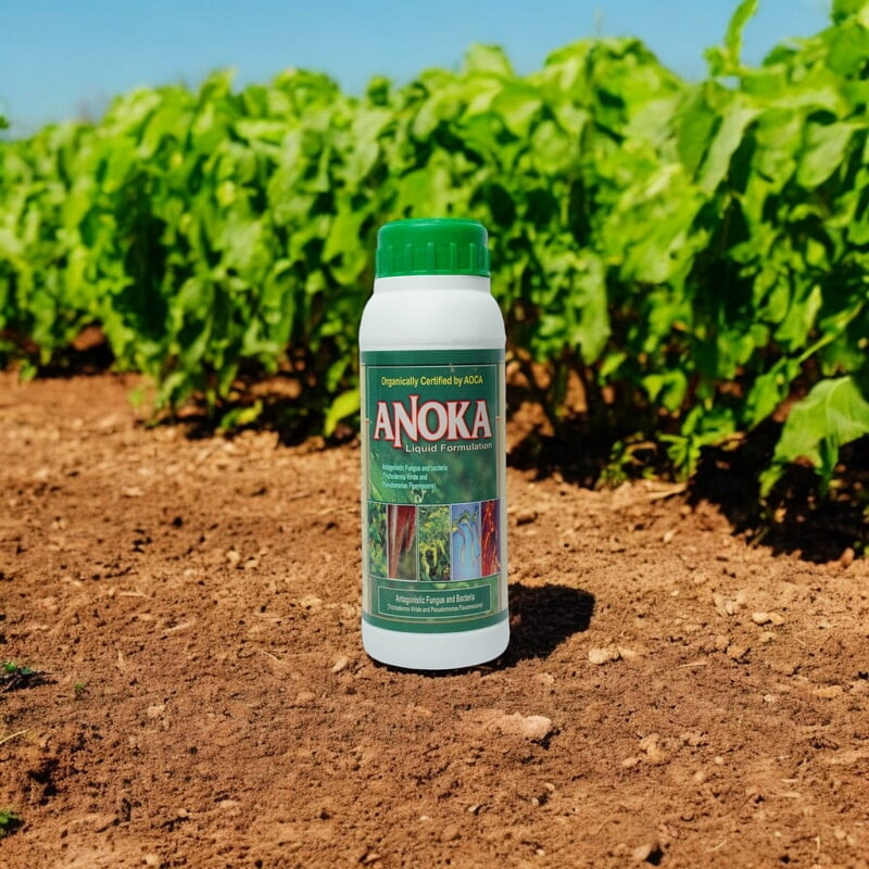 Anoka (Combination of Trichoderma Viride and Pseudomonas)