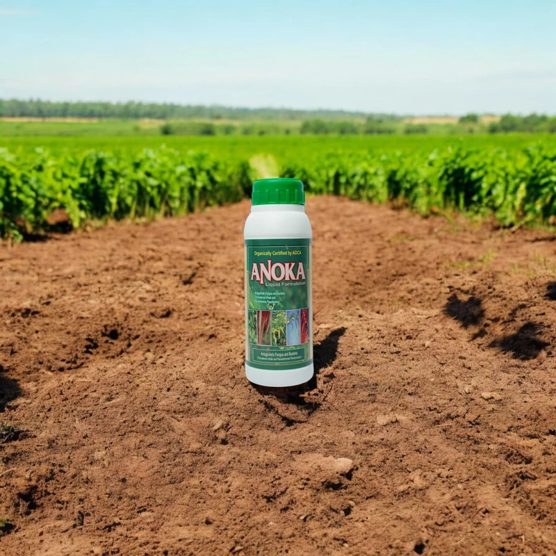 Anoka (Combination of Trichoderma Viride and Pseudomonas)