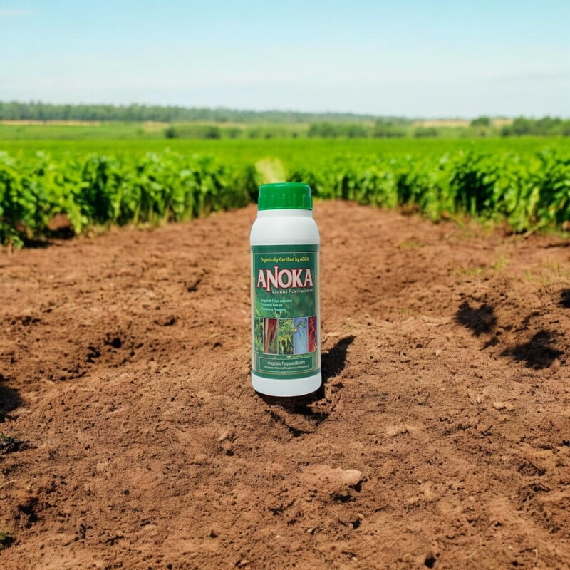 Anoka (Combination of Trichoderma Viride and Pseudomonas)