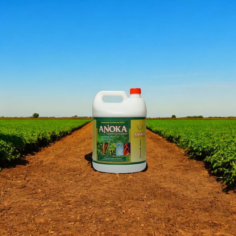 Anoka (Combination of Trichoderma Viride and Pseudomonas)