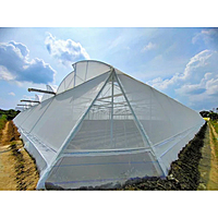 Polyhouse Insect Net Installation