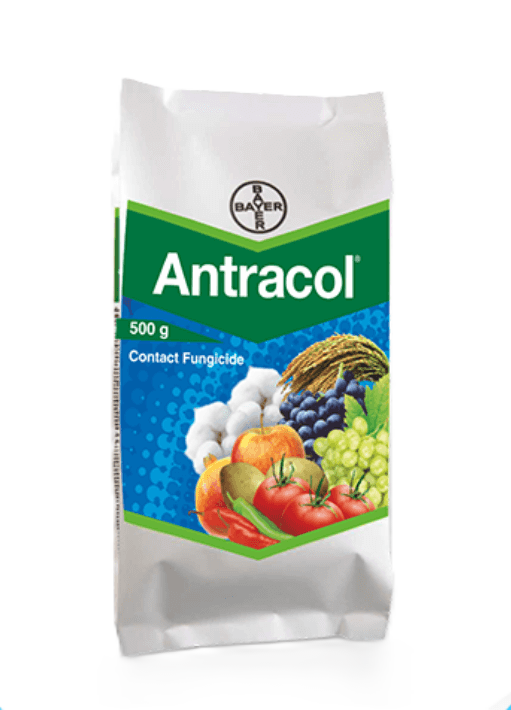 Antracol by Bayer crop science