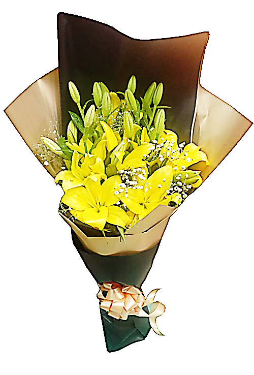 Aprilia Bouquet Aprilia Bouquet