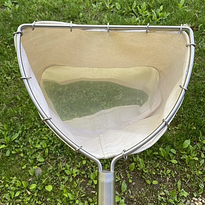 Insect Collection Water Net -D type LICNW-01
