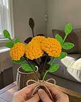 Marigold Large Flower Yellow