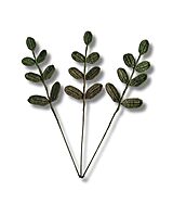 Leaf with Stem Large Dark Green