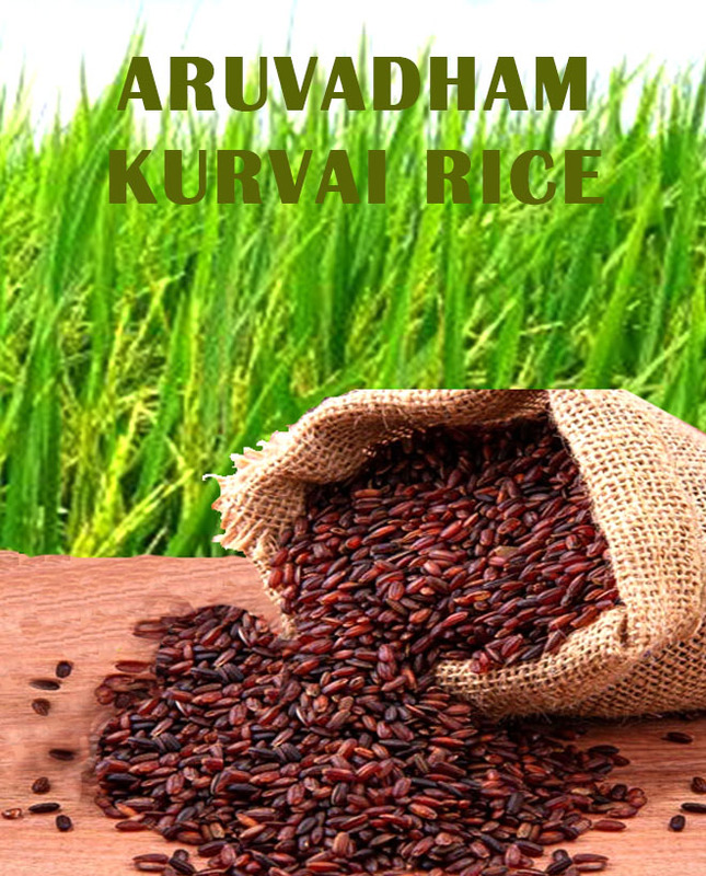 Aruvadham Kuruvai Rice