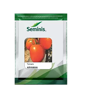 Tomato Hybrid Aryaman