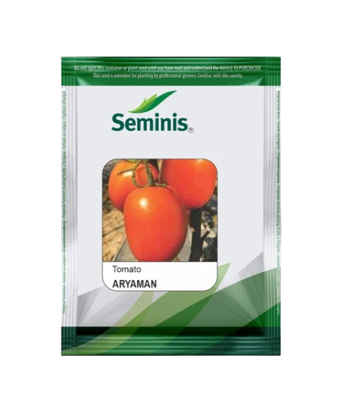 Tomato Hybrid Aryaman