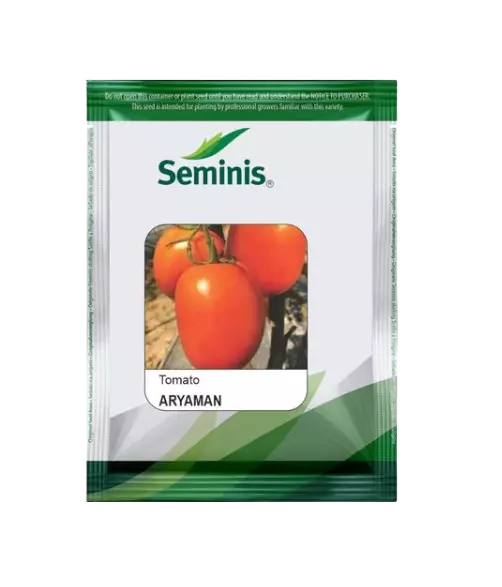 Tomato Hybrid Aryaman
