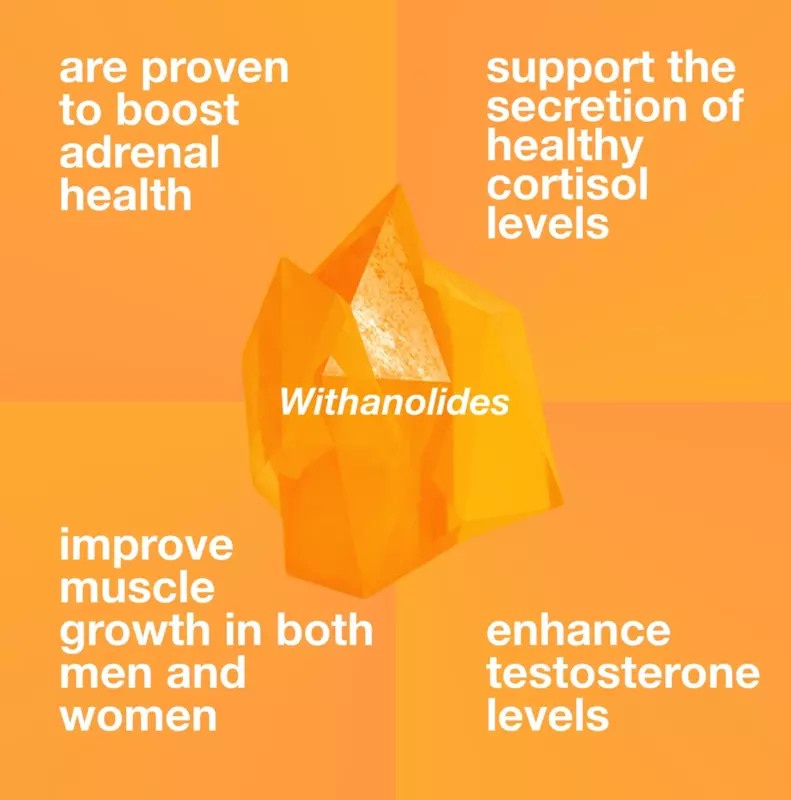 Ashwagandha Extract Veg 60 Capsules