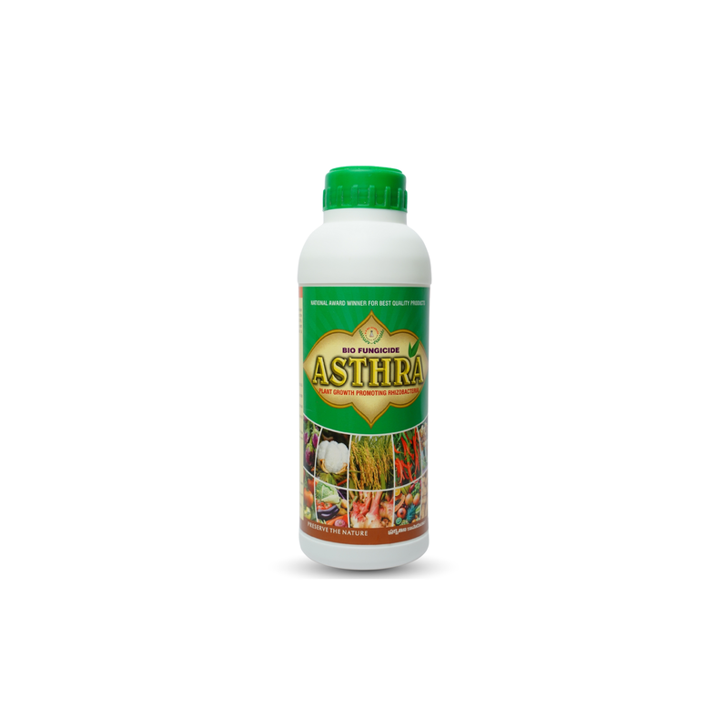 Astra - Best Bacillus Species - Boost Crop Resistance & Control Diseases with PGPR