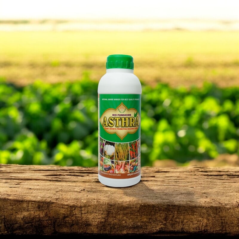 Astra - Best Bacillus Species - Boost Crop Resistance & Control Diseases with PGPR