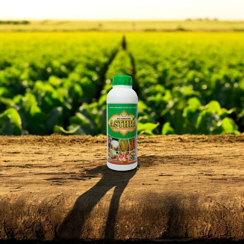 Astra - Best Bacillus Species - Boost Crop Resistance & Control Diseases with PGPR