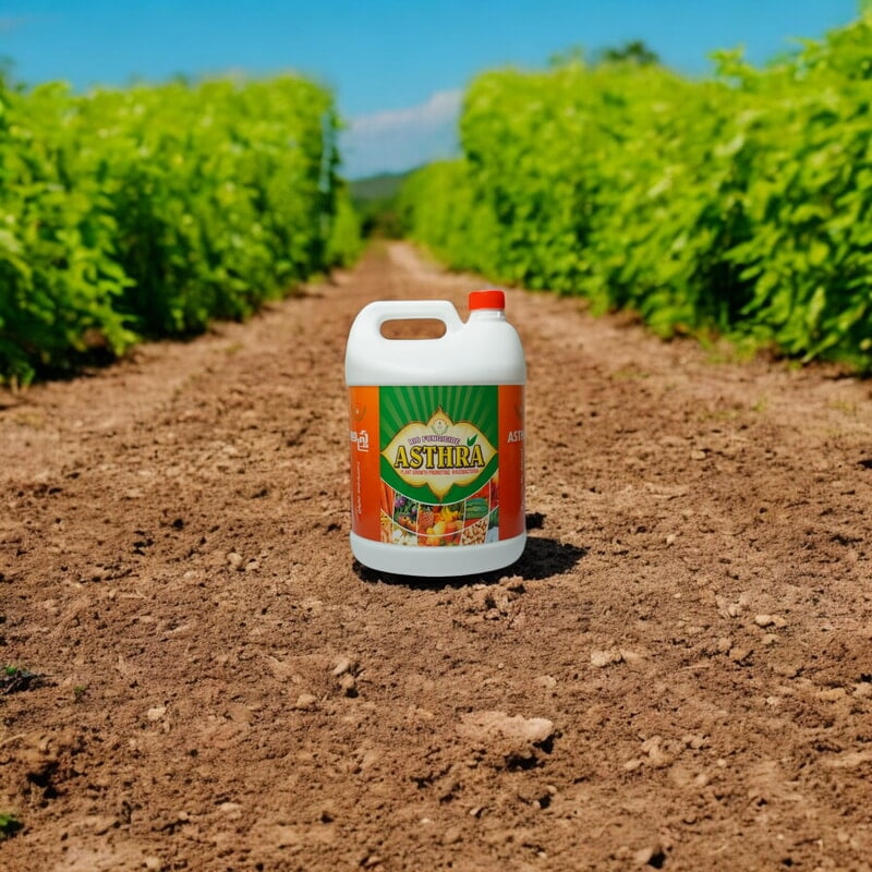 Astra - Best Bacillus Species - Boost Crop Resistance & Control Diseases with PGPR
