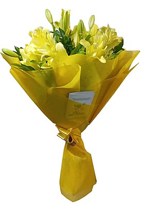 Atlas Lilies