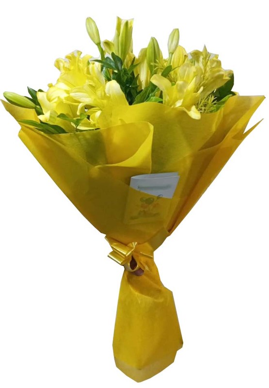 Atlas Lilies