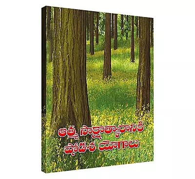 Atma Sakshatkaraniki Shodasa Yogalu (Telugu) (Paperback)
