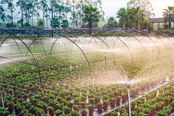 Automated Irrigation Systems