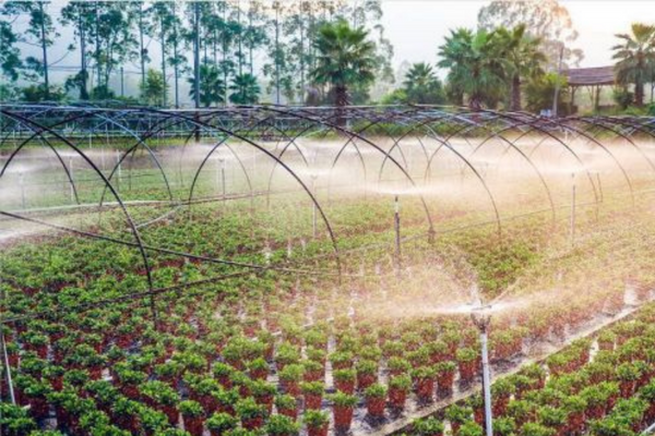 Automated Irrigation Systems