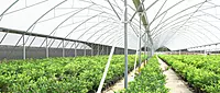 Automation & Controller Integration – Smart Irrigation & Climate Control Service